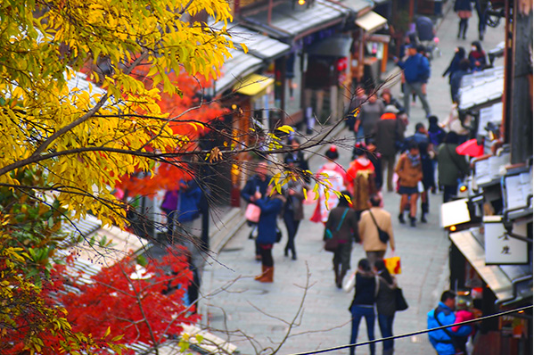 京都写真①