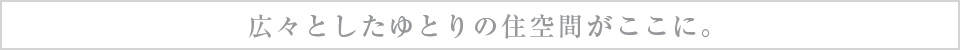 広々としたゆとりの住空間がここに。