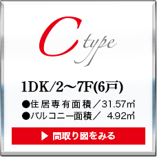 type-c