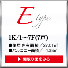 type-e