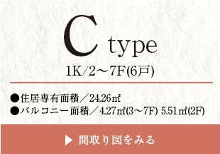 type-c