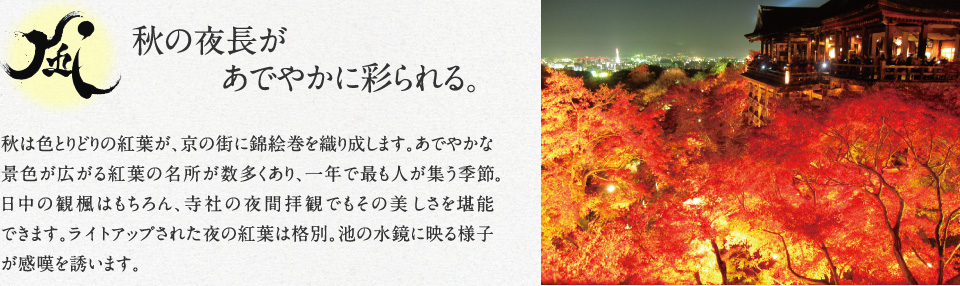 京都 不動産投資「ベラジオ京都洛南グルーブ」秋