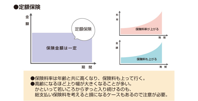 定額保険｜保険金額は一定で、保険料率・保険料が上がる