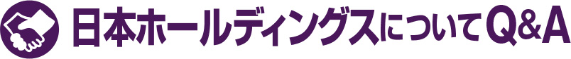 日本ホールディングスについて