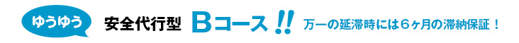 ゆうゆう安全代行型Bコース