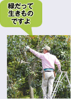 貸すのも借りるのも安心!